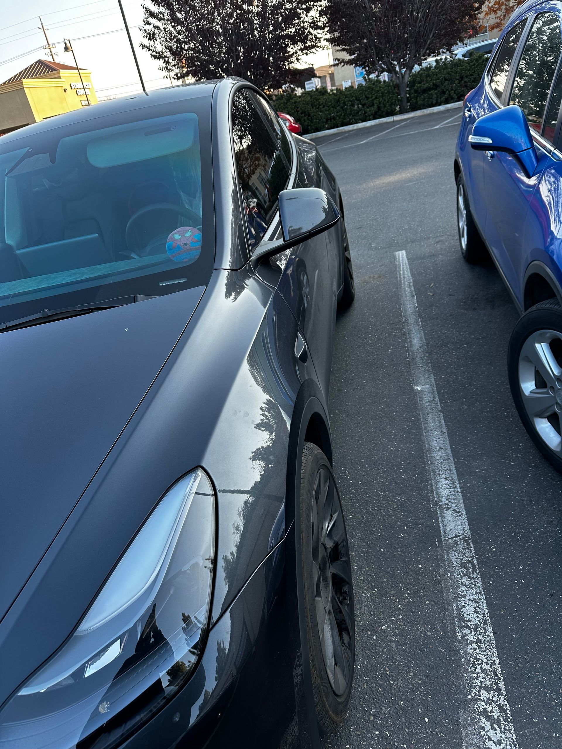 Two parked cars side by side in a lot, a dark gray car next to a blue car at dusk.