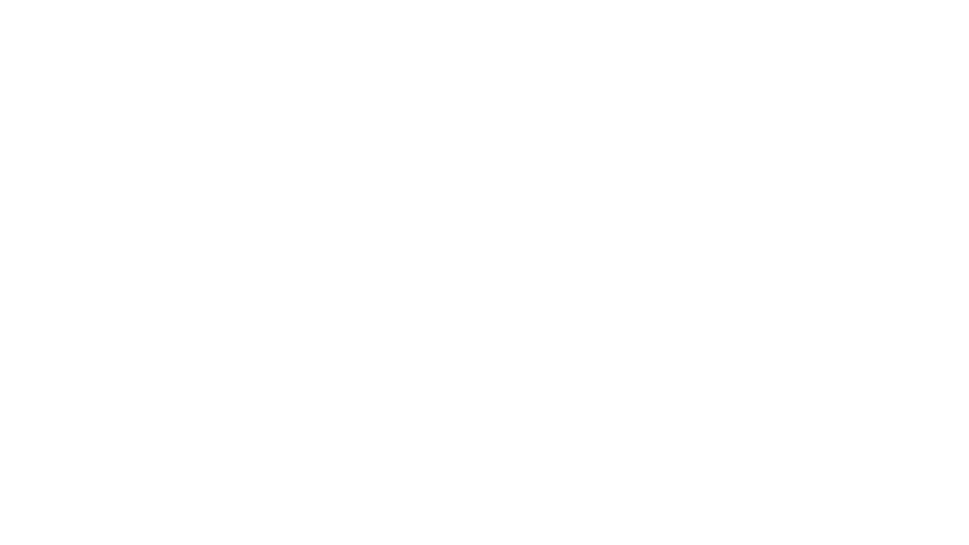 Magellan Health logo in white