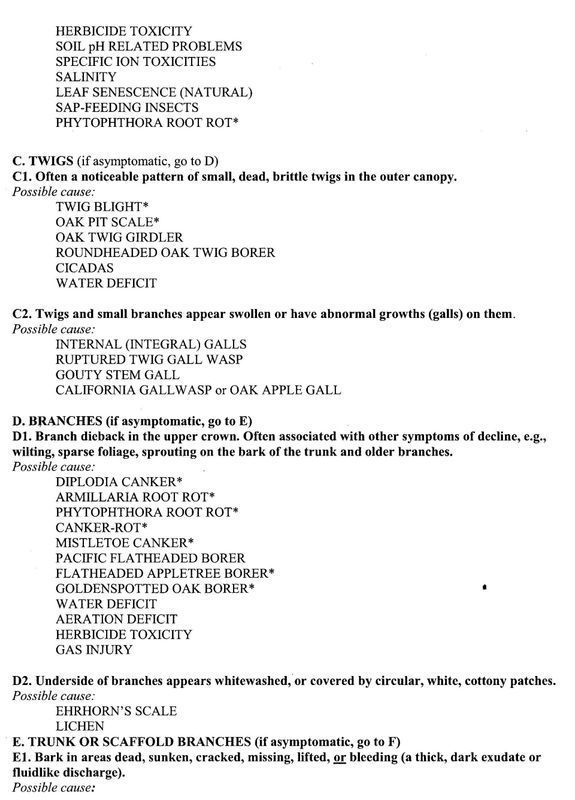 Types of Tree Diseases 