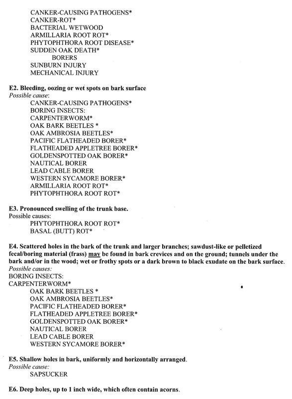 Tree Diseases Causes