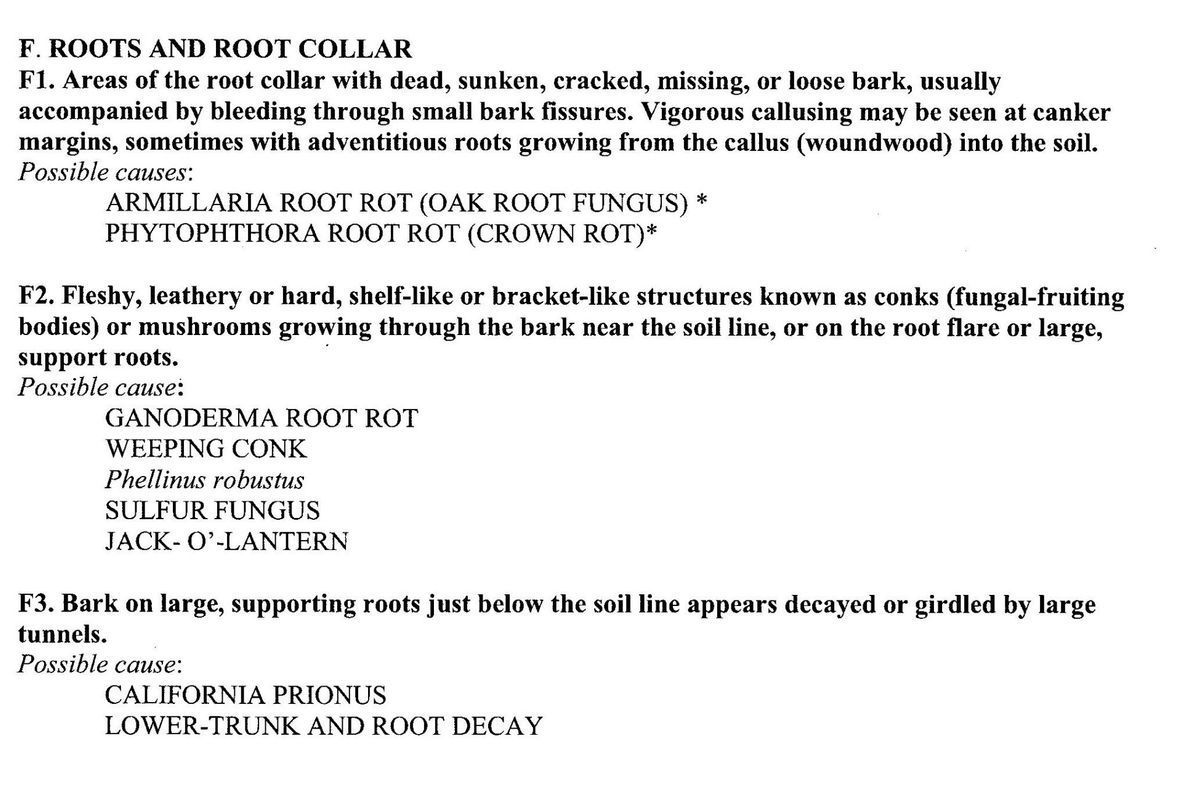 List of Roots and Their Characteristics