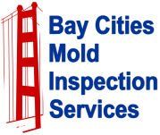 mold testing