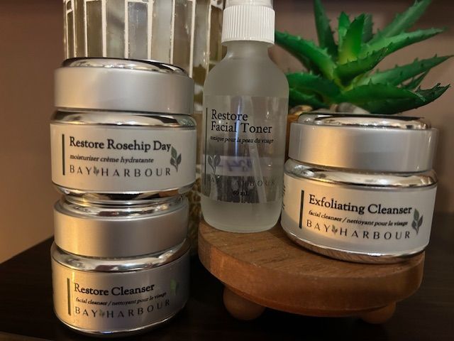 Skincare products: Day & Harbour brand. Jars of moisturizer, cleanser, toner and an artificial succulent.