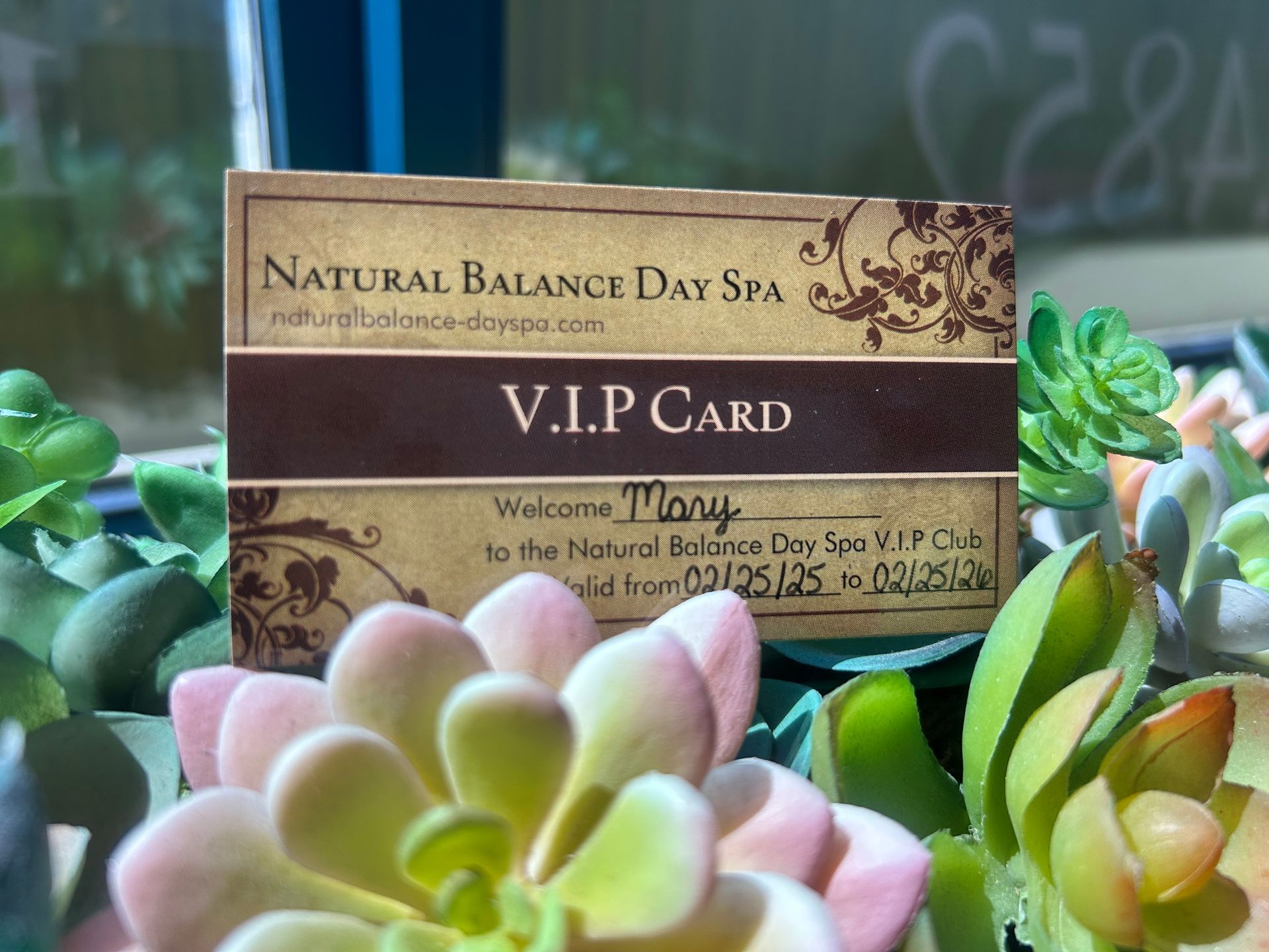 A Natural Balance Day Spa VIP card, with Mary's name, surrounded by succulents.