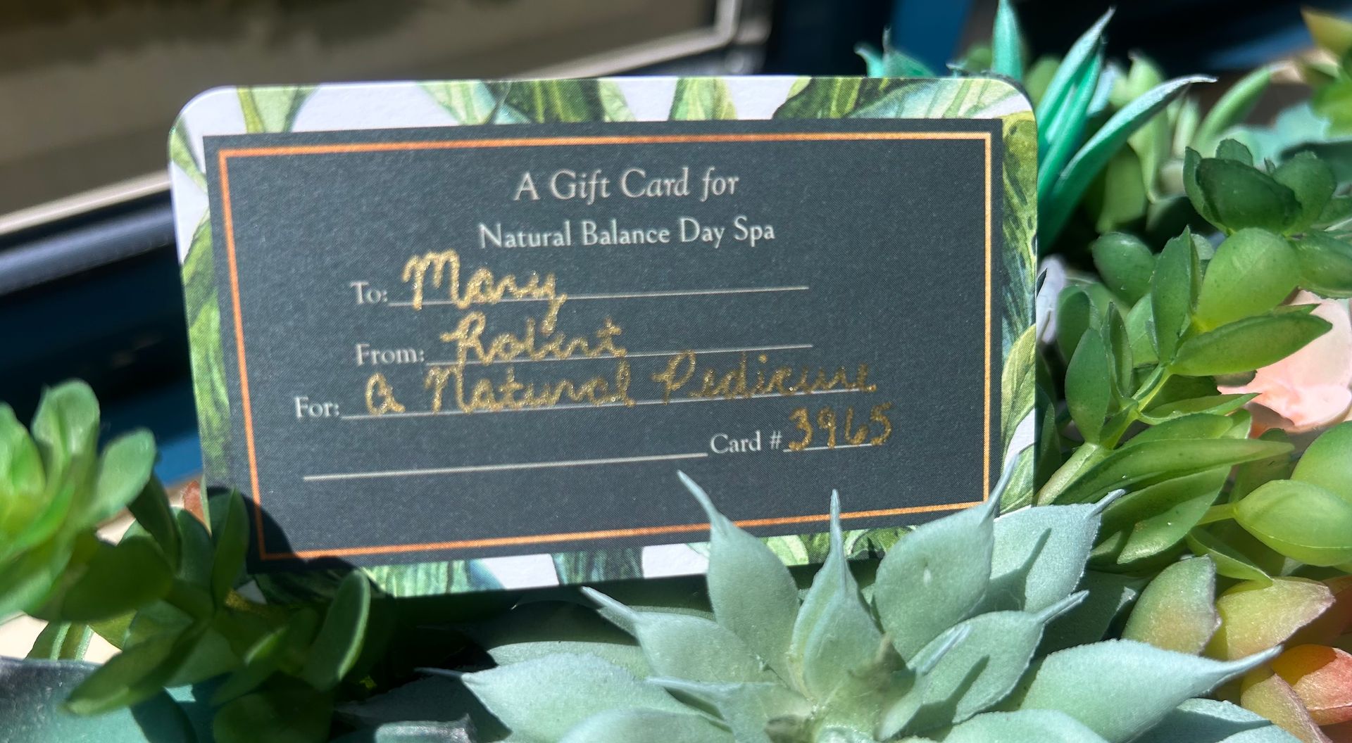 Gift card for Natural Balance Day Spa, addressed to Mossy, from Robert, with code 3965, surrounded by plants.