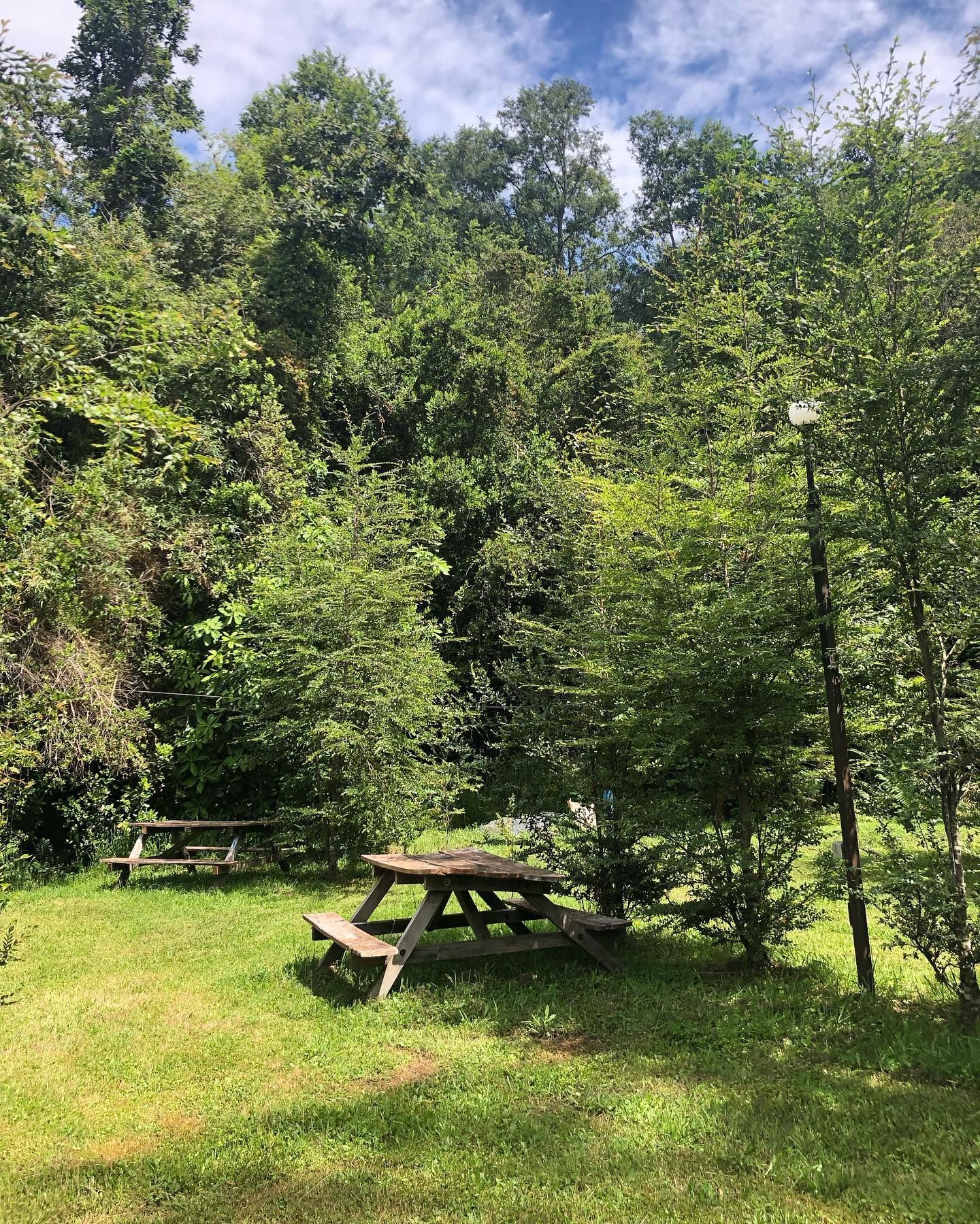 Camping Alto Trapel