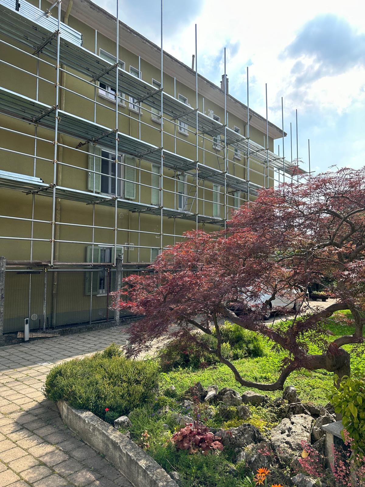 Impalcature su un edificio accanto a un giardino paesaggistico con un albero dalle foglie rosse e fiori.