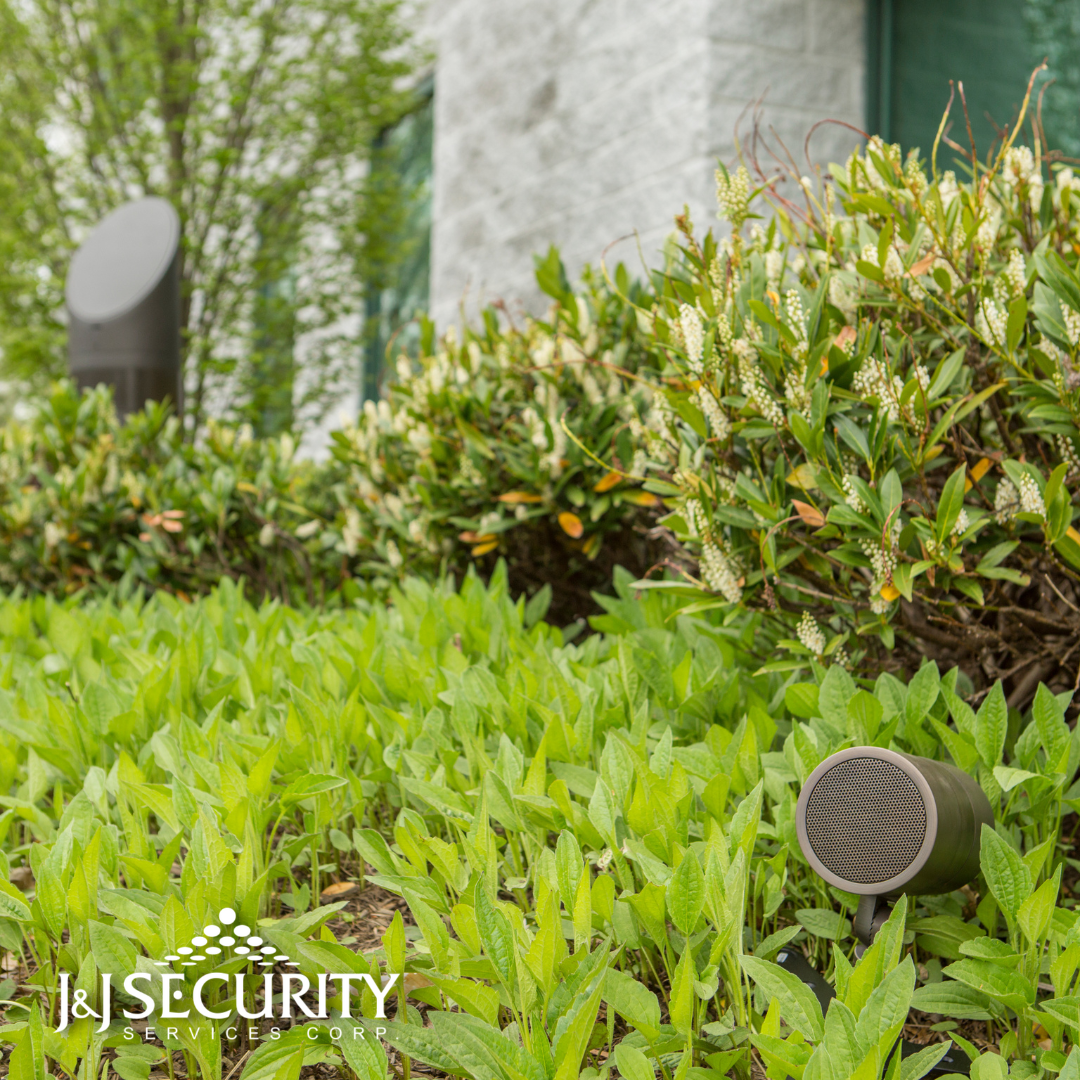 Ground-level landscaping lights in front of green plants and a stone wall.