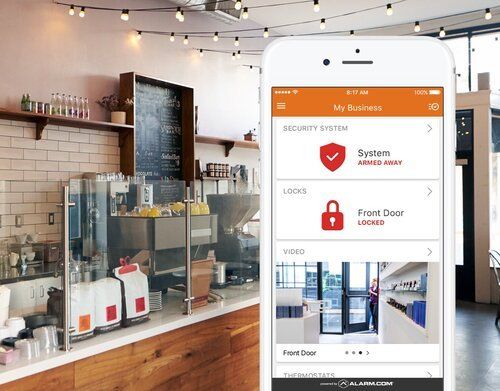 Business Security Systems