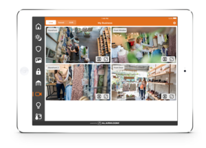 Commercial Security Solutions