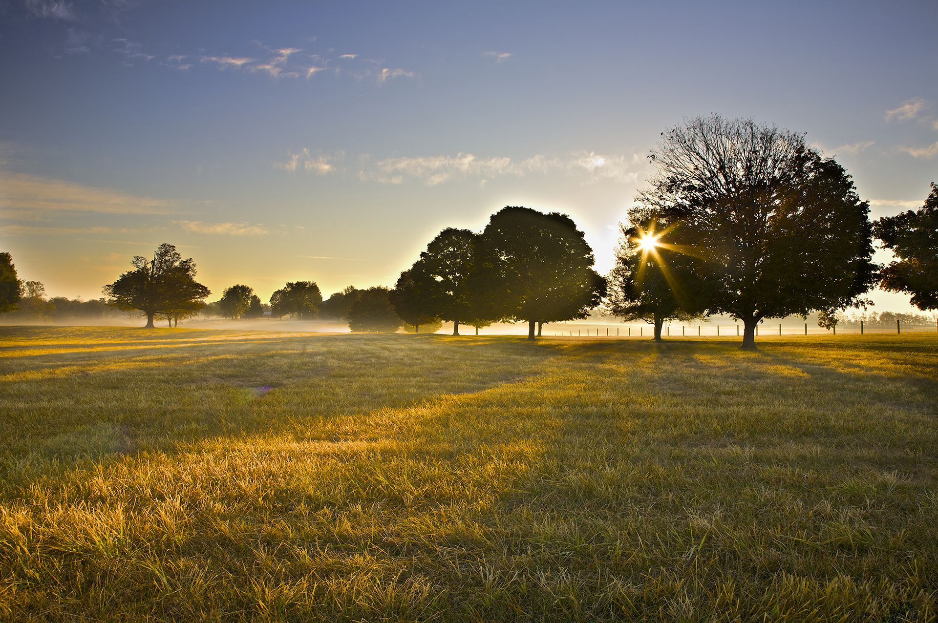obituaries page link