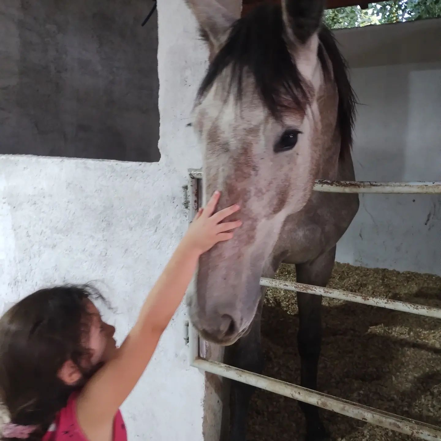 Haras la Soñada