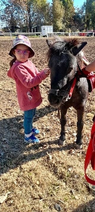 Haras la Soñada