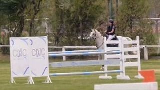 Haras la Soñada