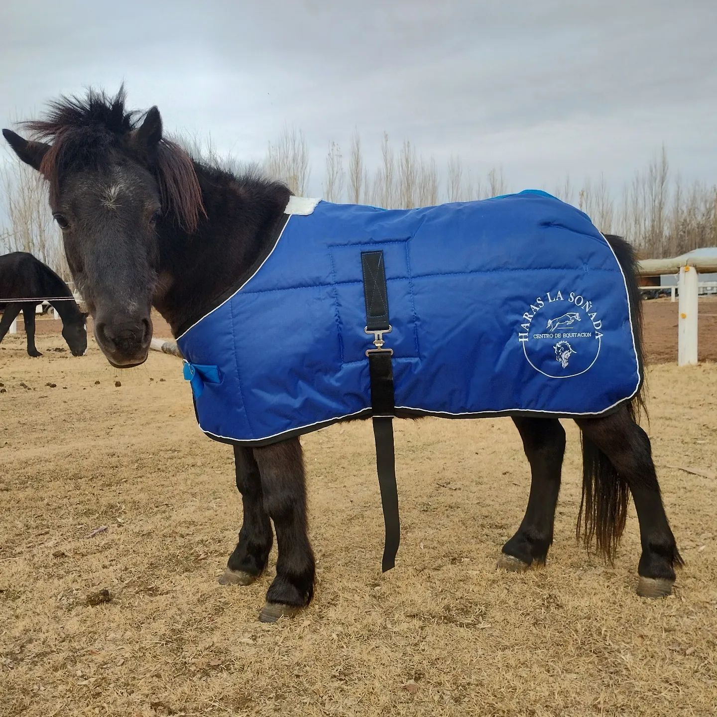 Haras la Soñada