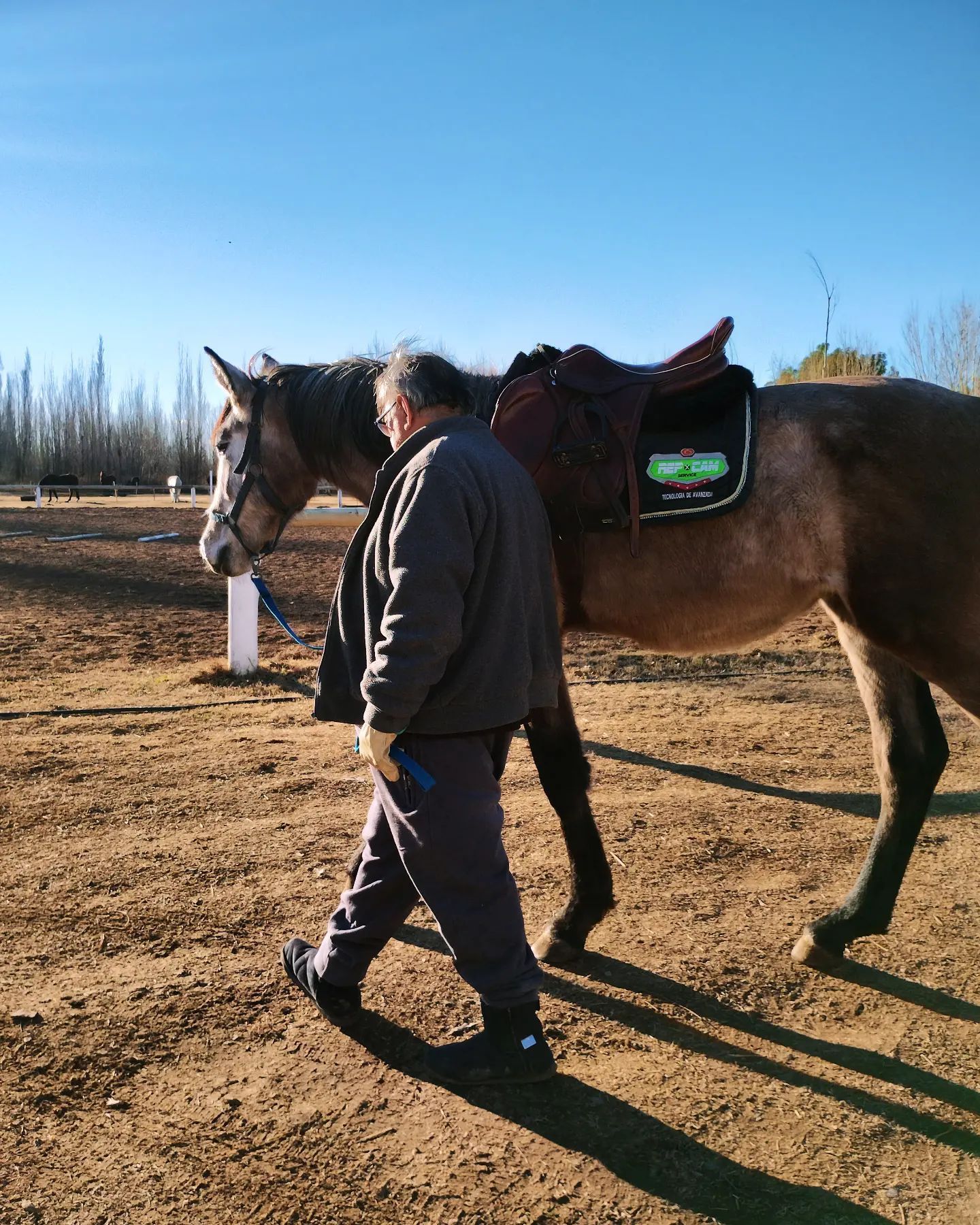 Haras la Soñada