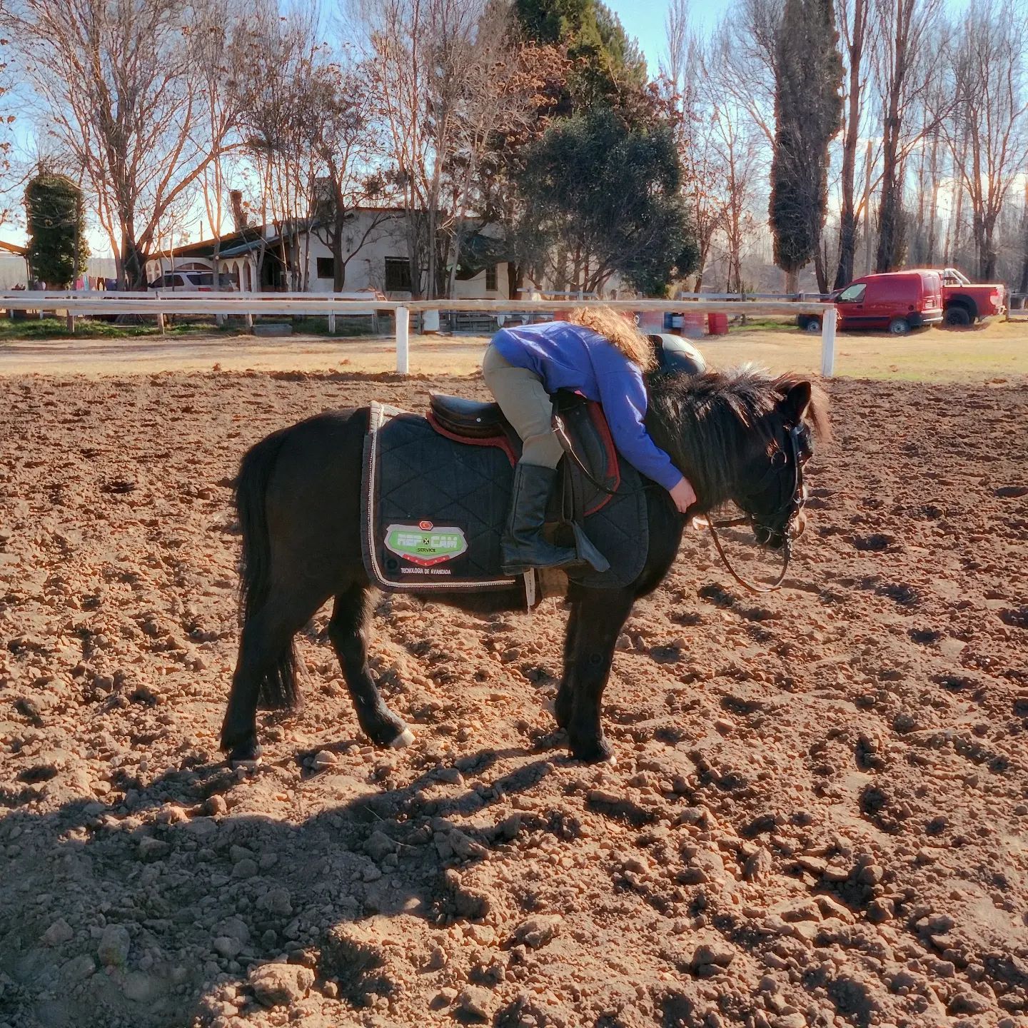 Haras la Soñada