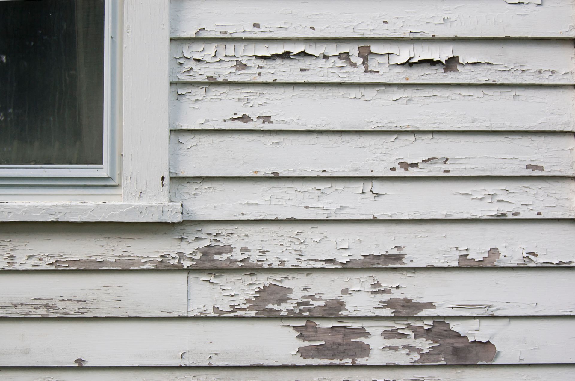 Siding contractor in Surrey, BC