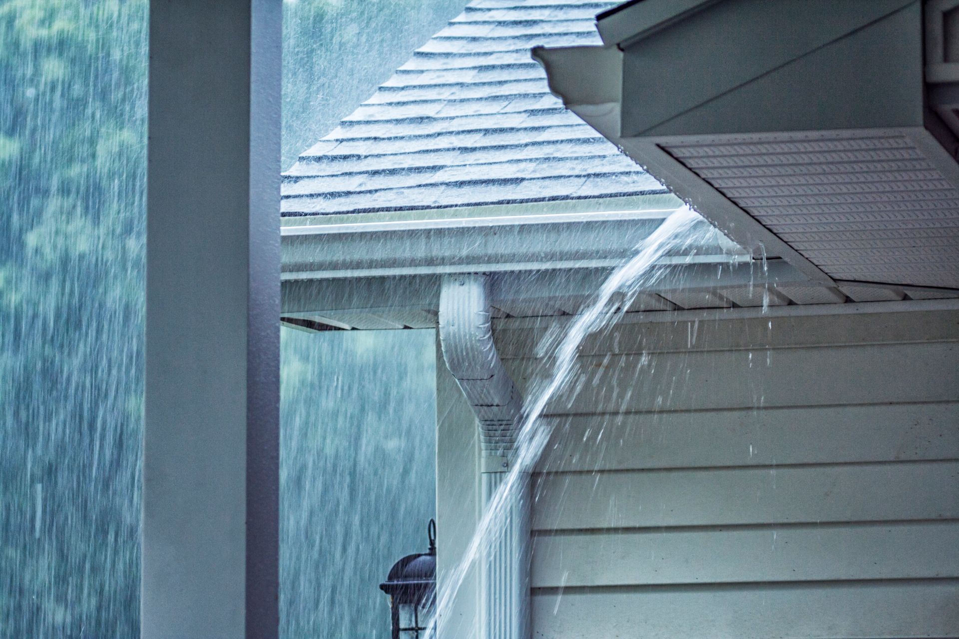 water damaged siding could have mold