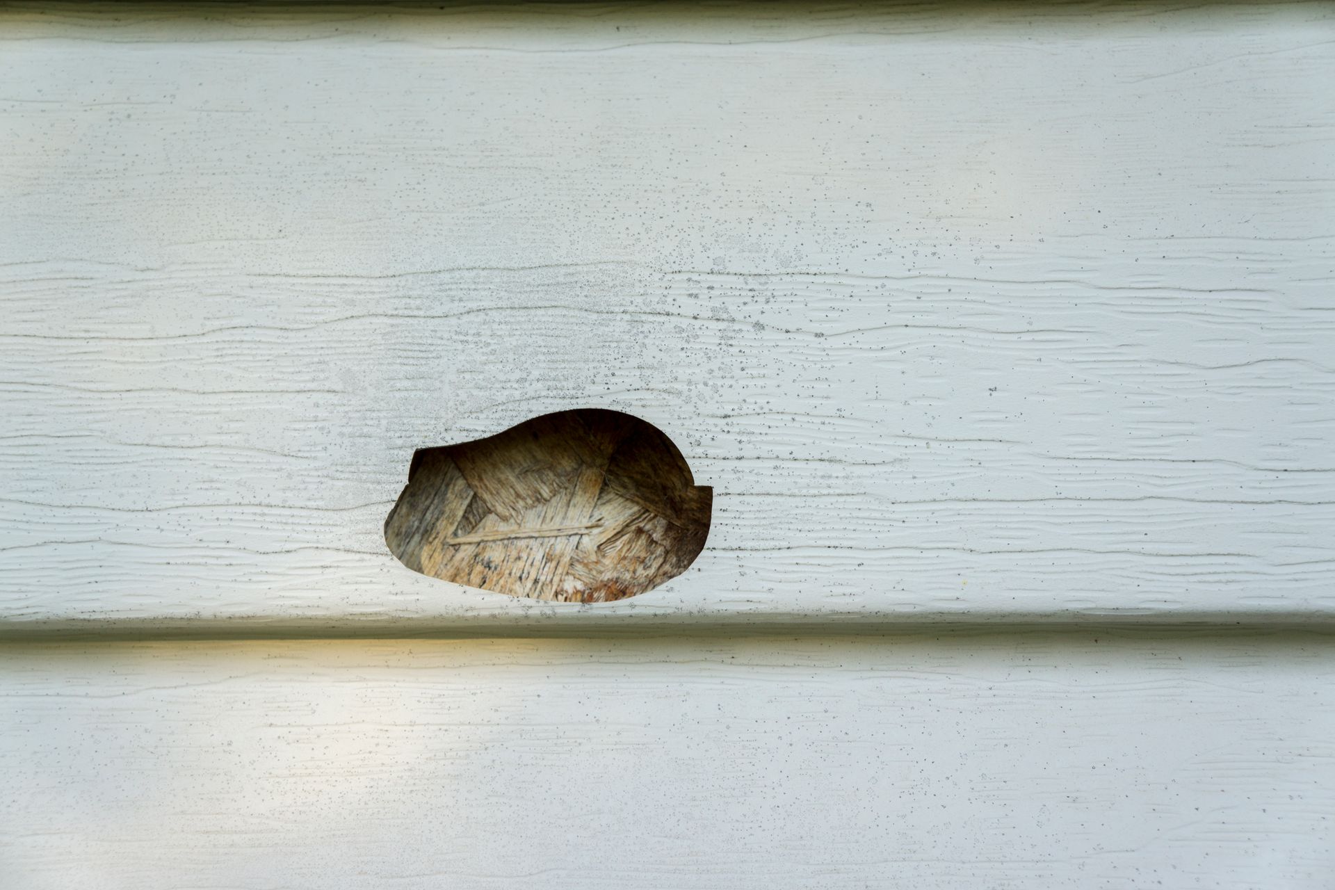 Damaged Siding needing Repair