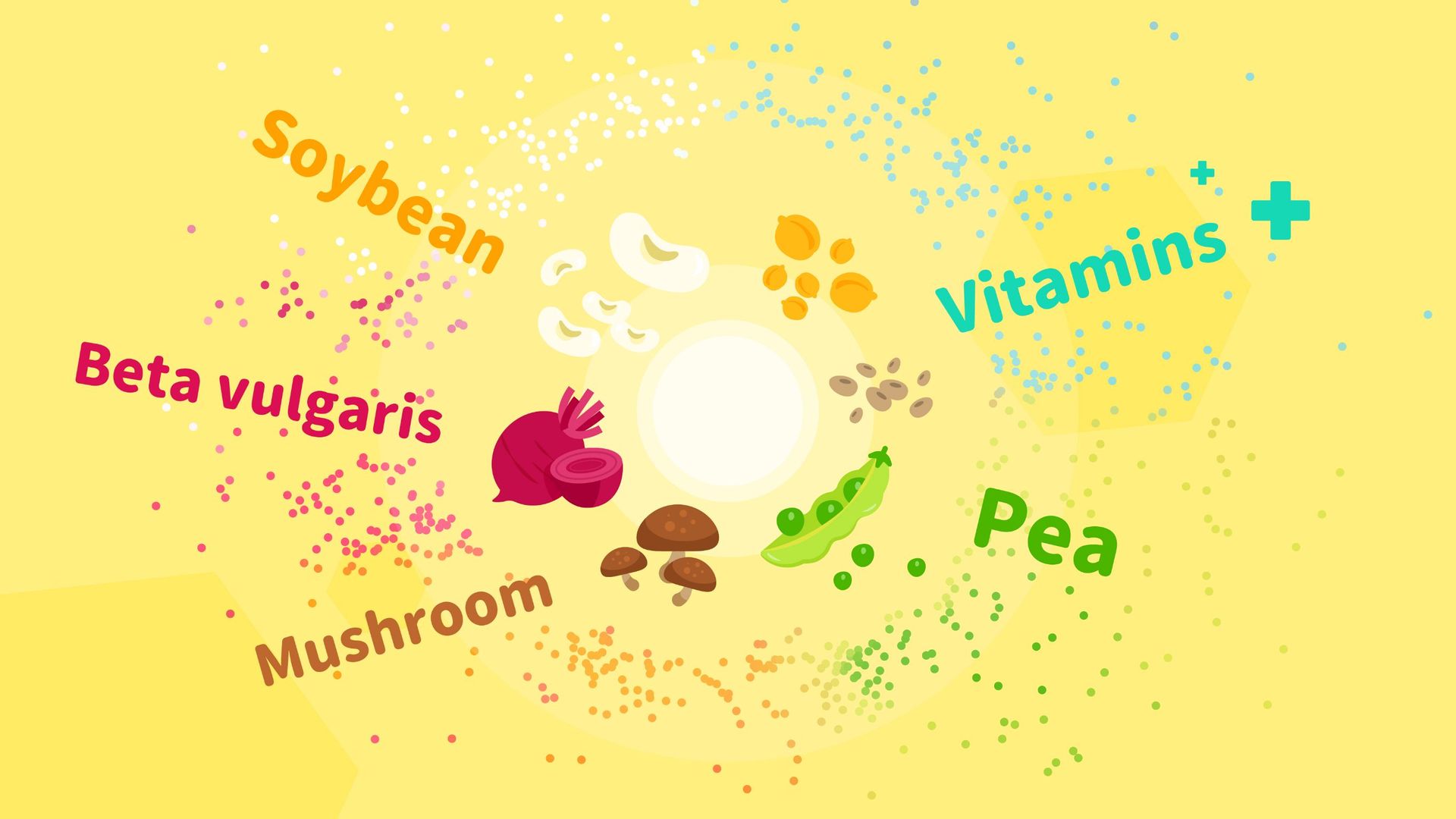 Colorful illustration of food sources: soybean, beta vulgaris, mushroom, pea, and vitamins.