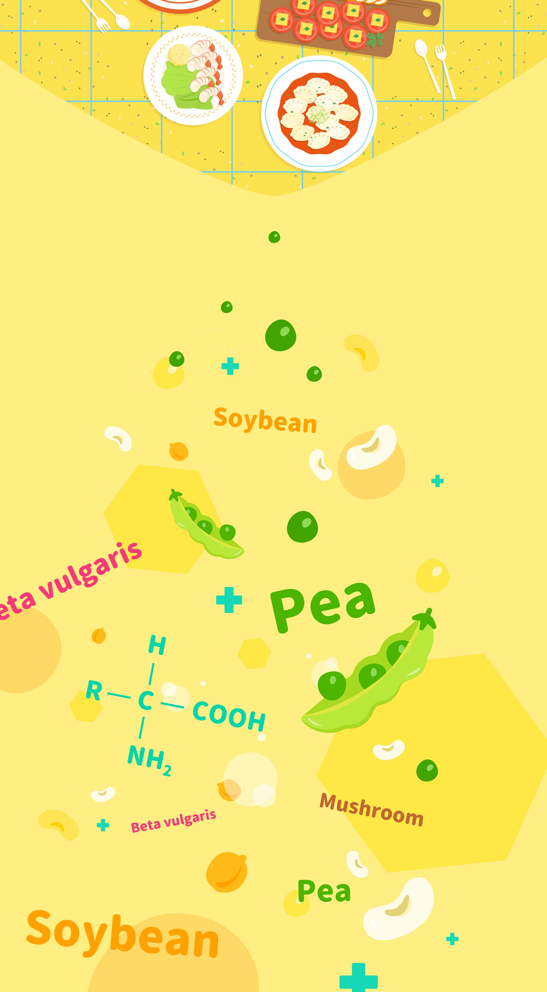 Yellow graphic: food illustrations (soybean, pea, mushroom), amino acid structure, ingredient labels.