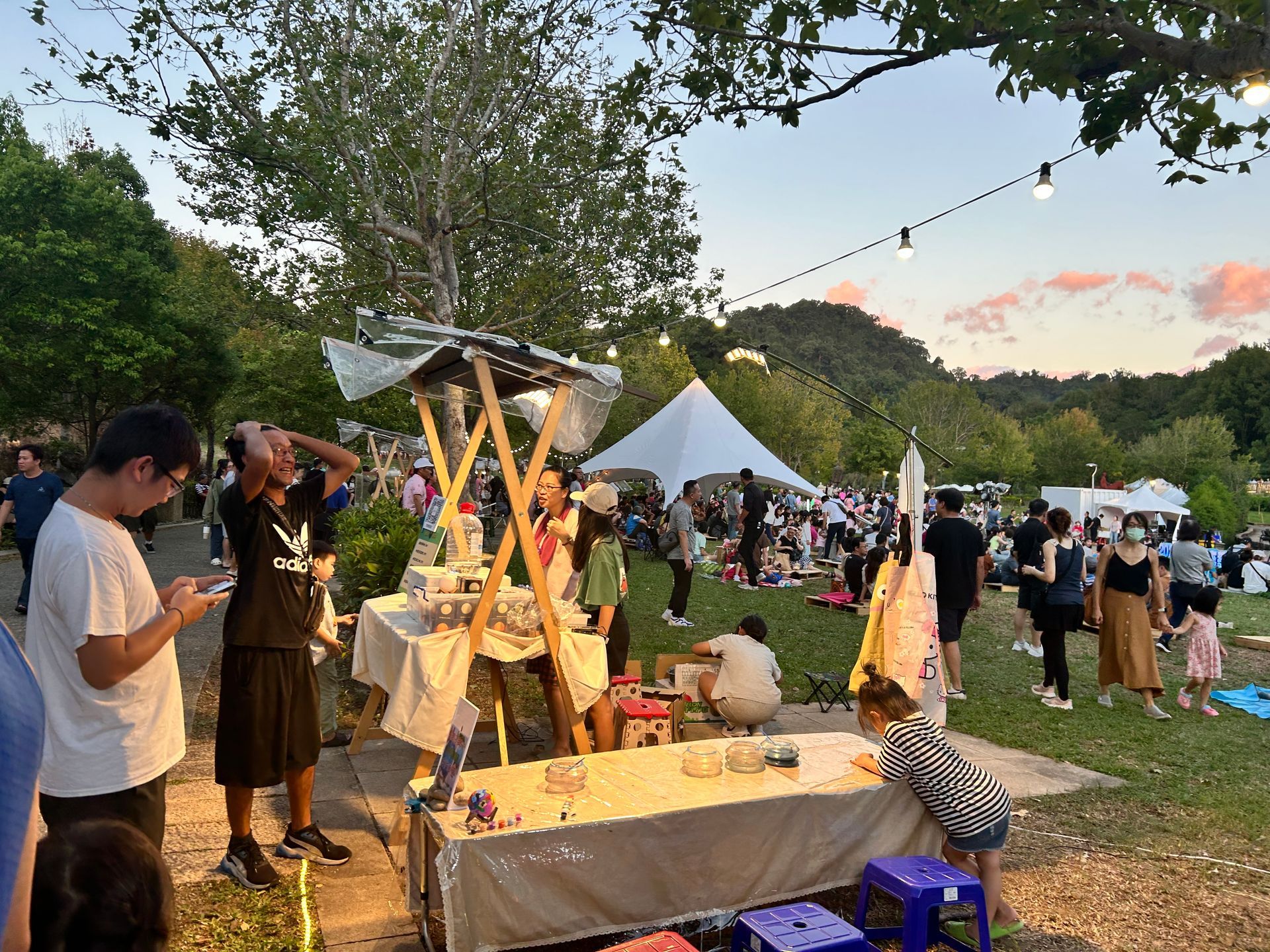 Outdoor market with vendors and crowd; people browsing; string lights; sunset.