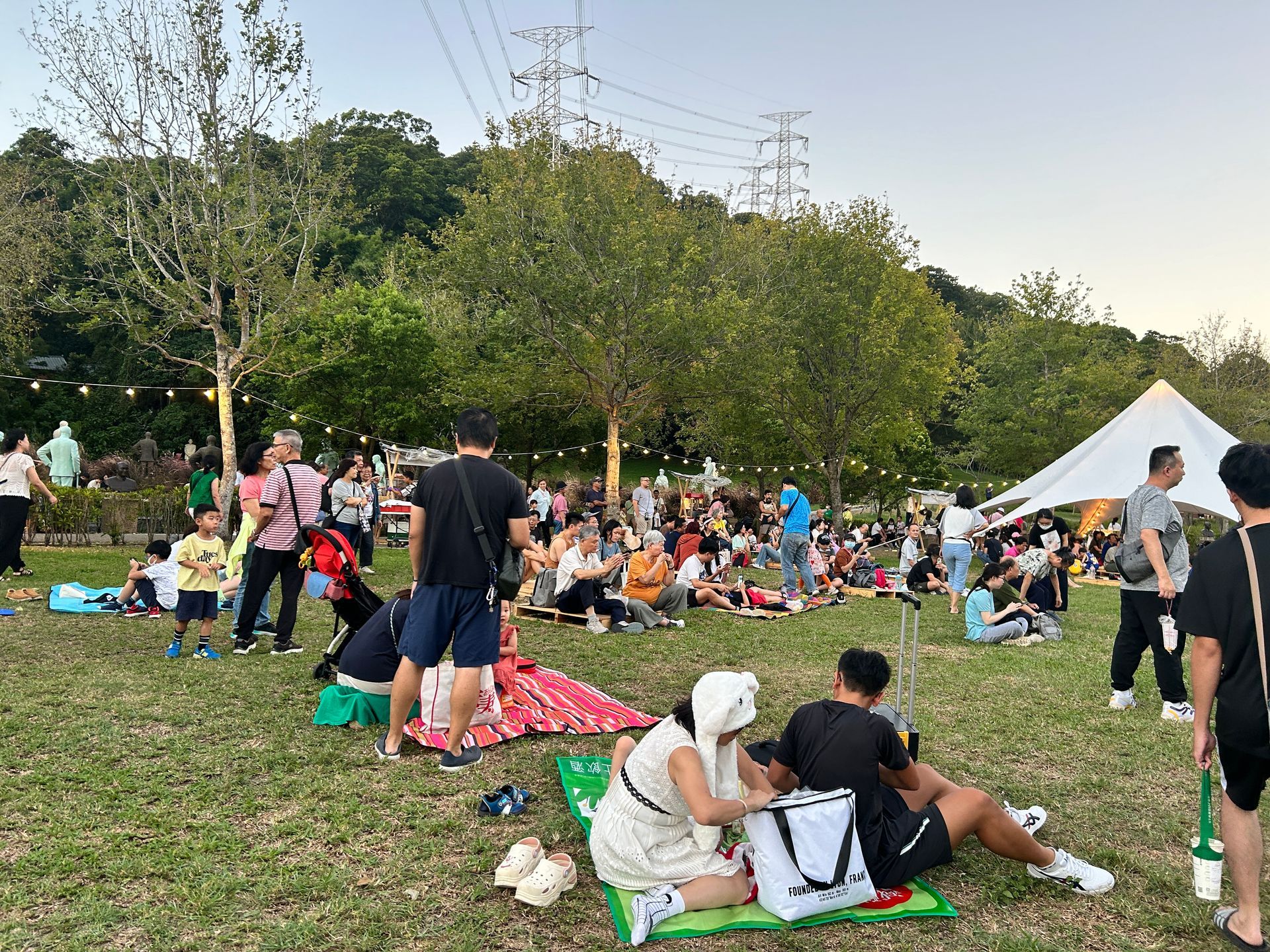 People relaxing and picnicking in a grassy park; a tent is set up, trees and power lines are visible.