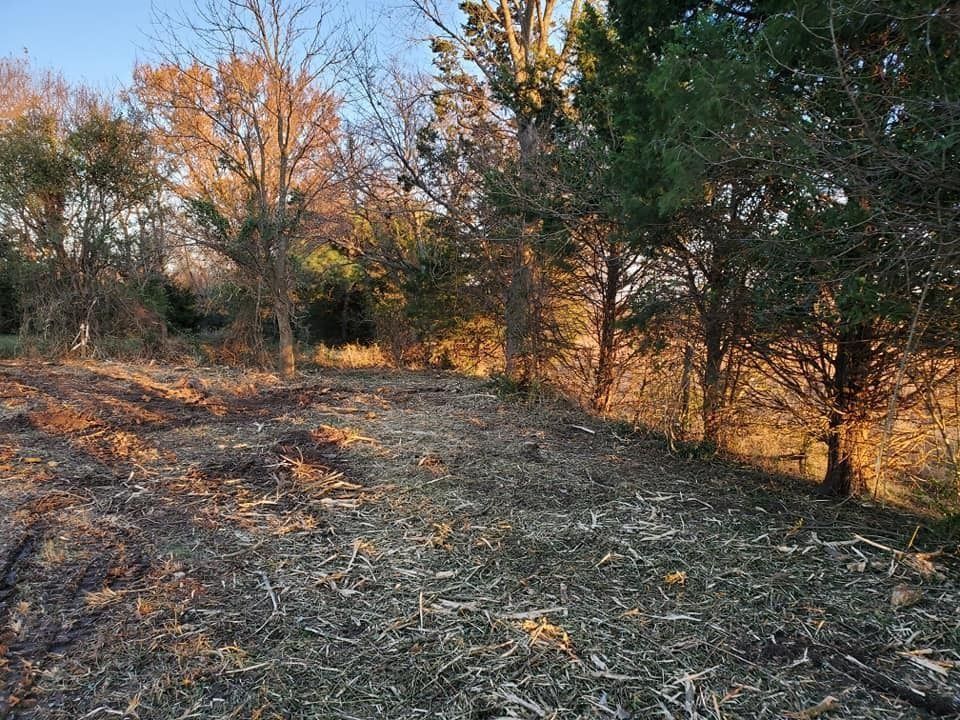 Sunlit wooded clearing with dry grass, trees, and a dirt path in autumn