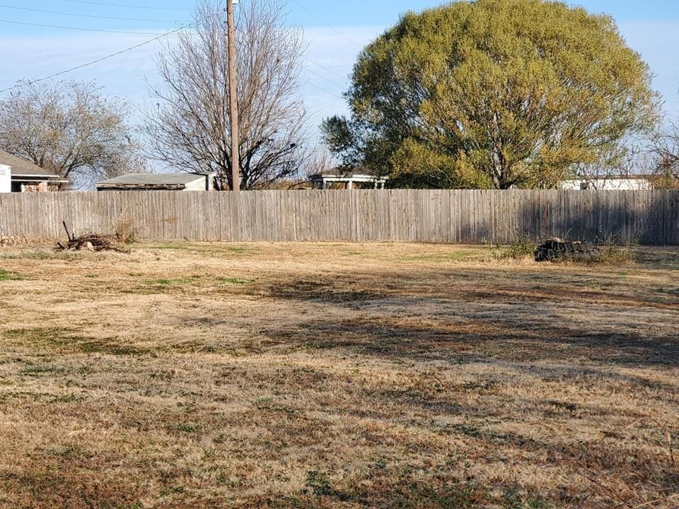 Empty backyard with dry grass, wooden fence, leafless trees, and a large green tree under a blue sky