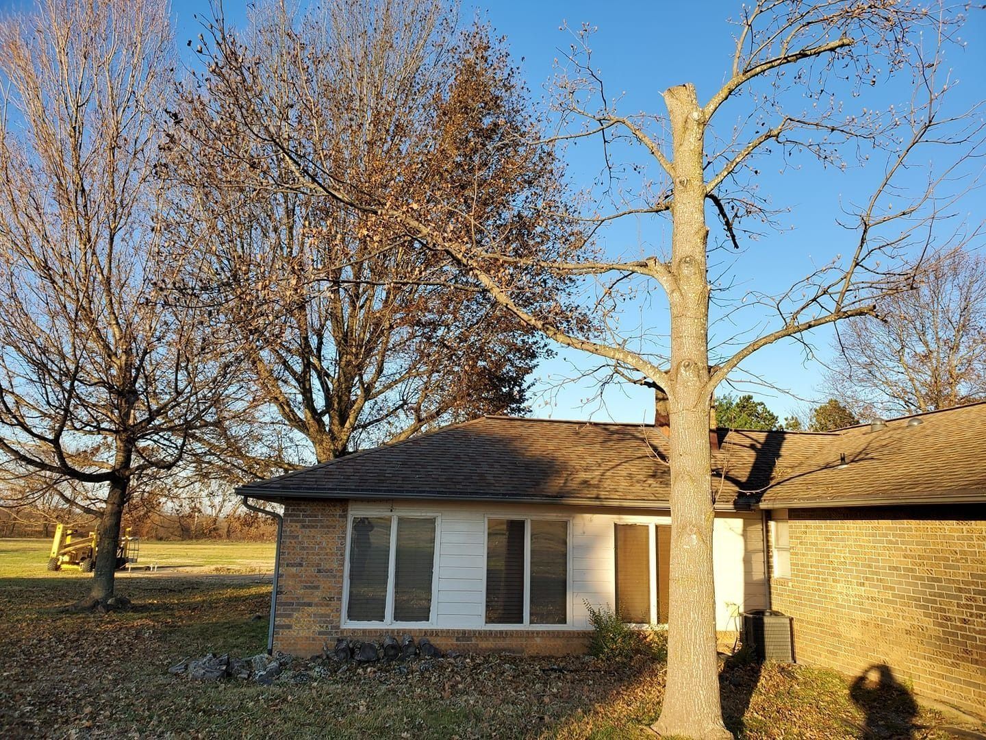 Small brick house with white shutters behind leafless trees on a sunny day