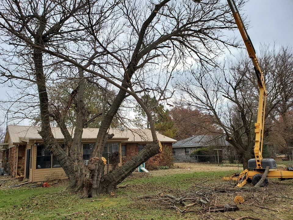 Tree service clearing a large fallen tree in a yard beside a brick house and yellow lift truck
