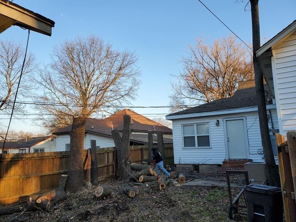 Backyard with a large tree being cut down, wood piles, and a person working near a white house
