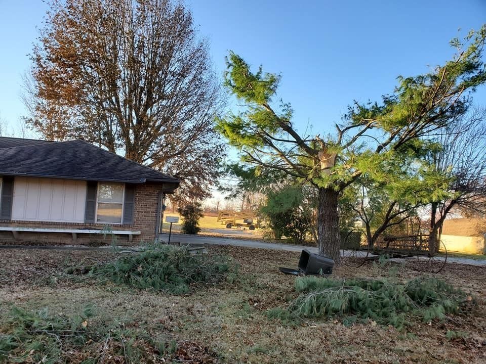 Rural yard with bare trees, a brick house, and a black trash bin under a blue sky