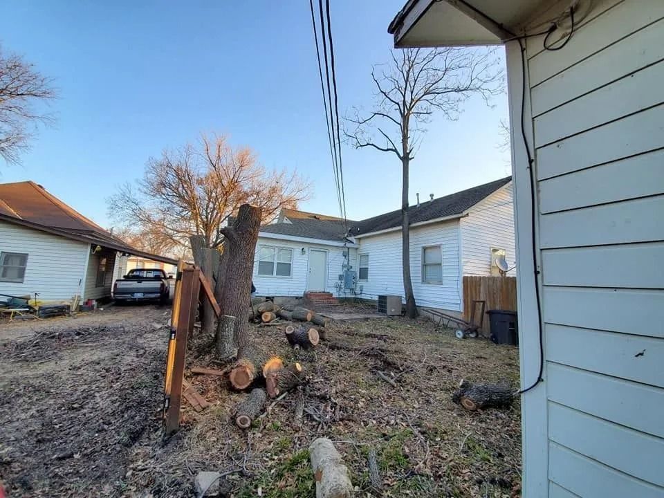 Rural yard with cut tree stumps, a white house, and a parked car under a clear blue sky