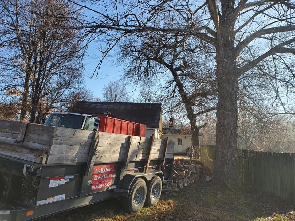 Dump trailer filled with debris parked beside a bare tree and fence in a yard