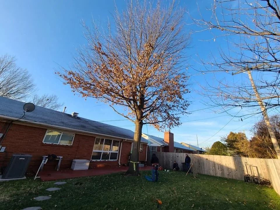 Backyard with leafless tree, brick house, fence, and two people standing near a lawn chair