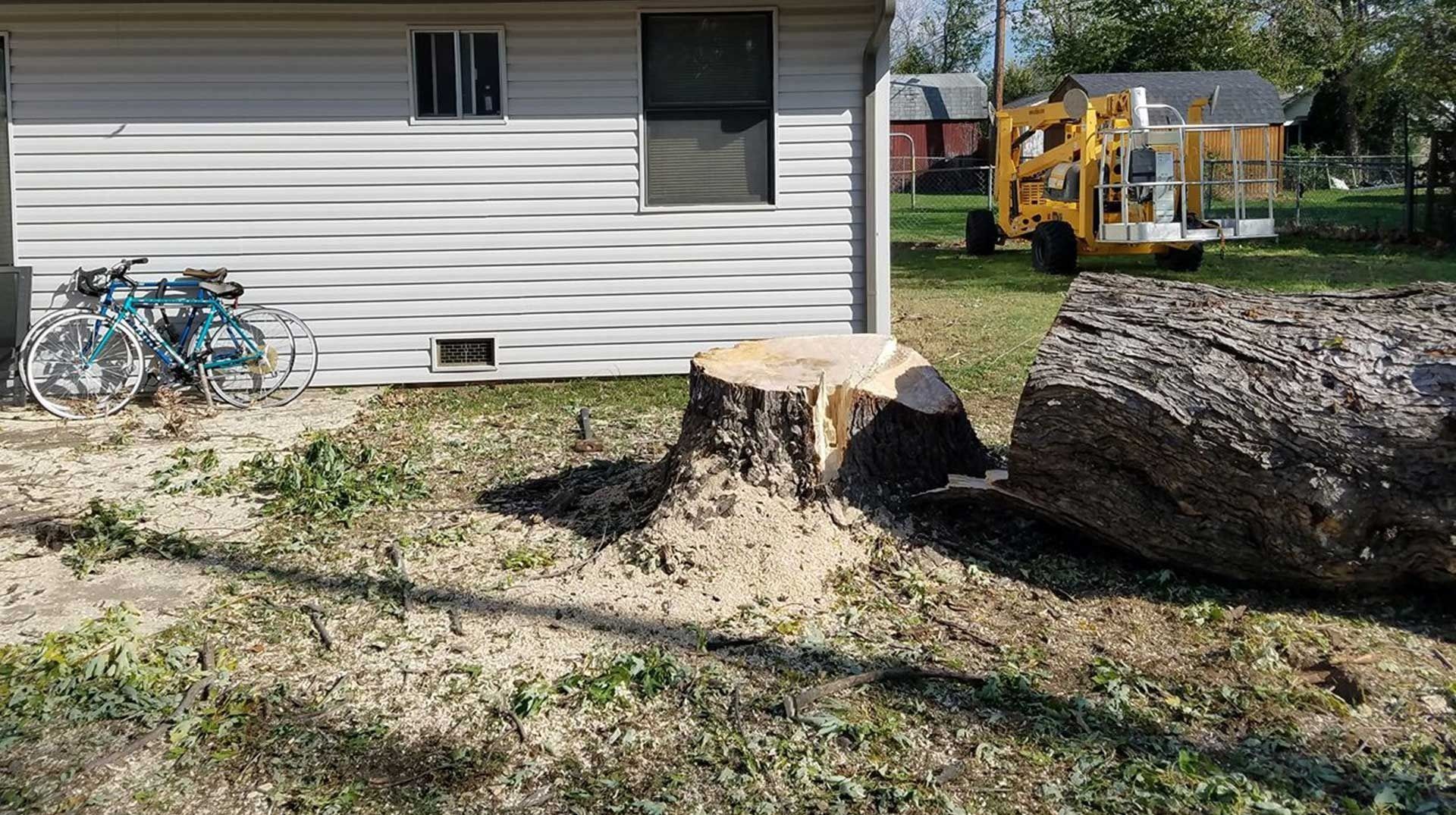 A backyard with a large tree stump and fallen log beside a house, with bicycles and a yellow machine in the background