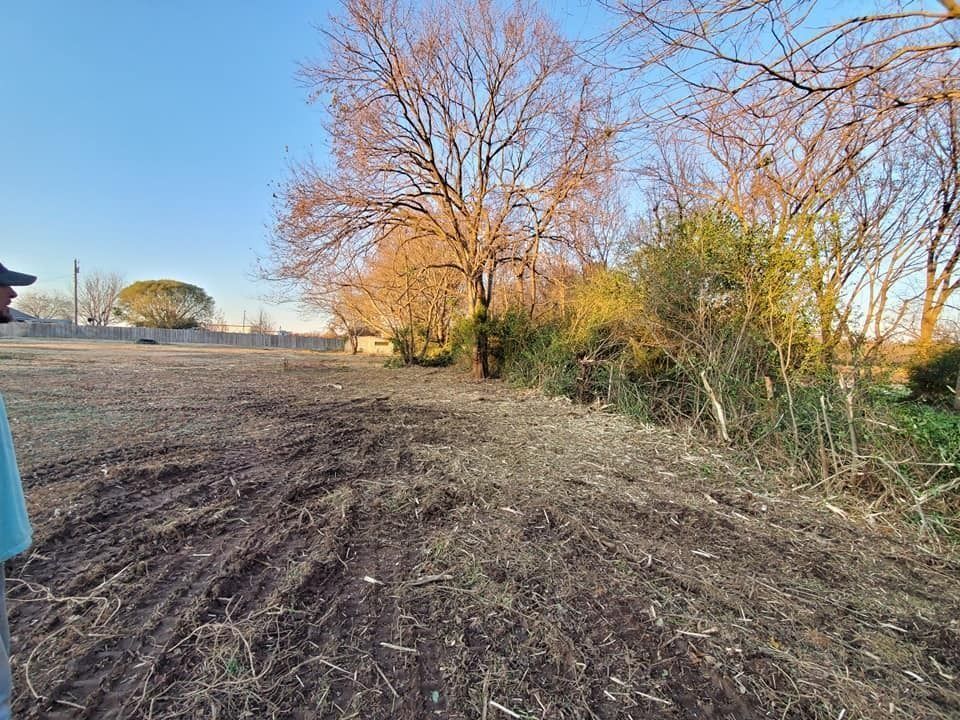 Open field with bare trees and bushes in autumn light, blue sky overhead