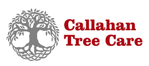 Callahan Tree Care logo with stylized tree icon and red text on white background