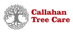Callahan Tree Care logo with stylized tree icon and red text on white background