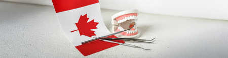A Canadian flag, a dental model of teeth, and silver dental instruments sit on a white, textured surface.