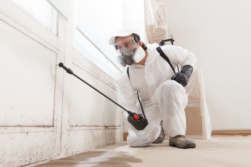 Person in protective suit spraying insecticide in a white room.