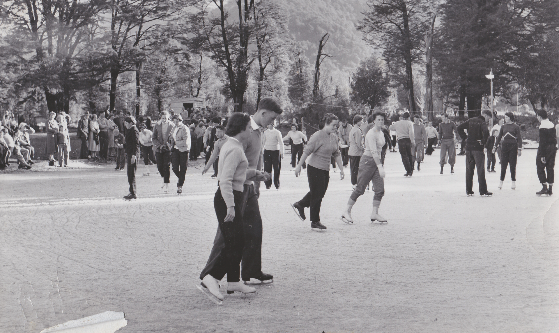 Staveley 1951