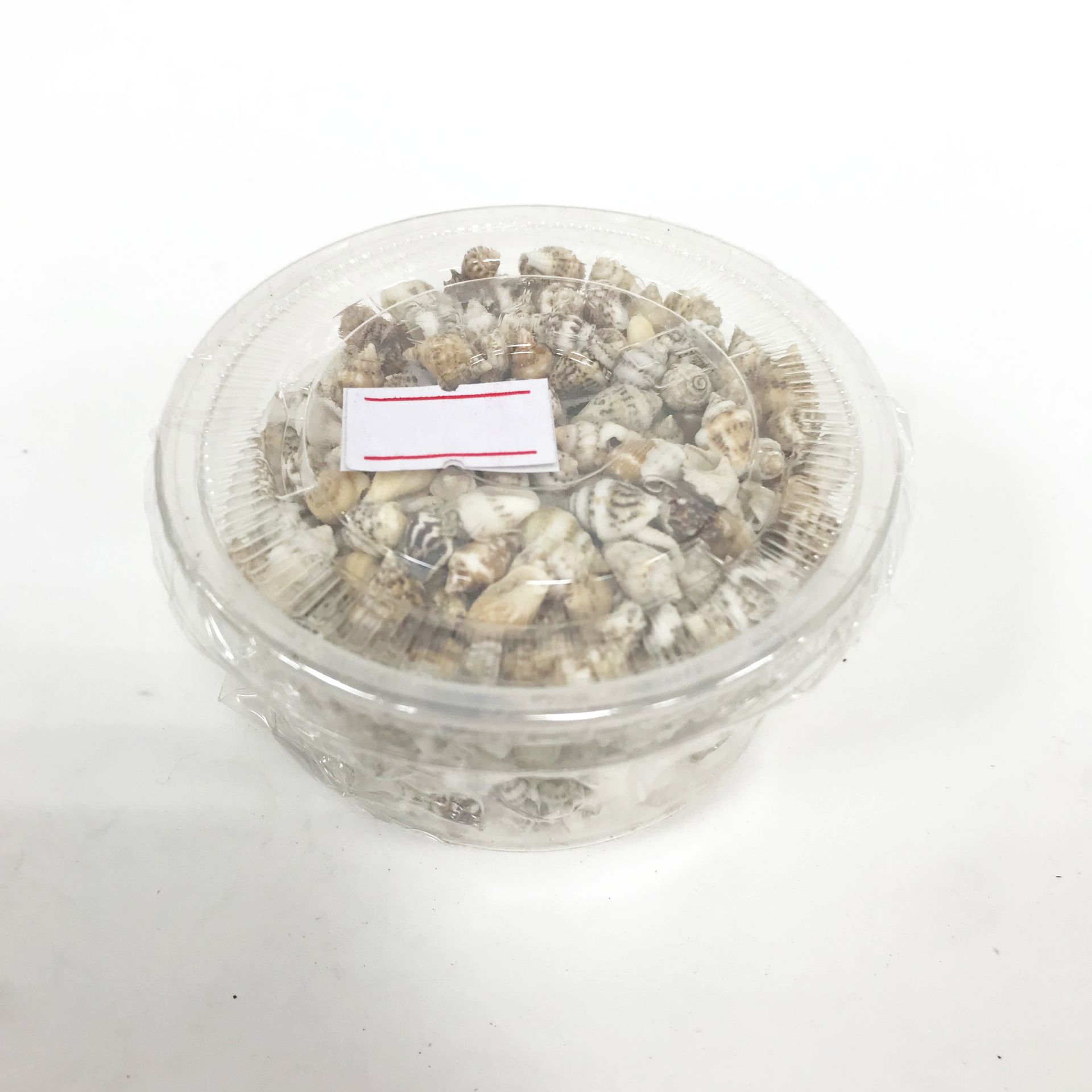 海風小米貝貝殼裝飾DIY手工果凍蠟用模型用