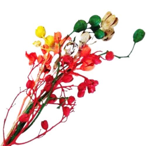 小包裝花束系列-小紫葵