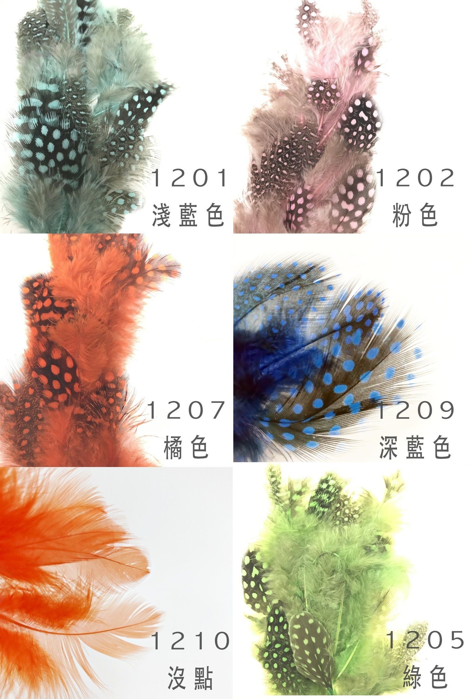 羽毛 #12點點羽毛 DIY染色羽毛