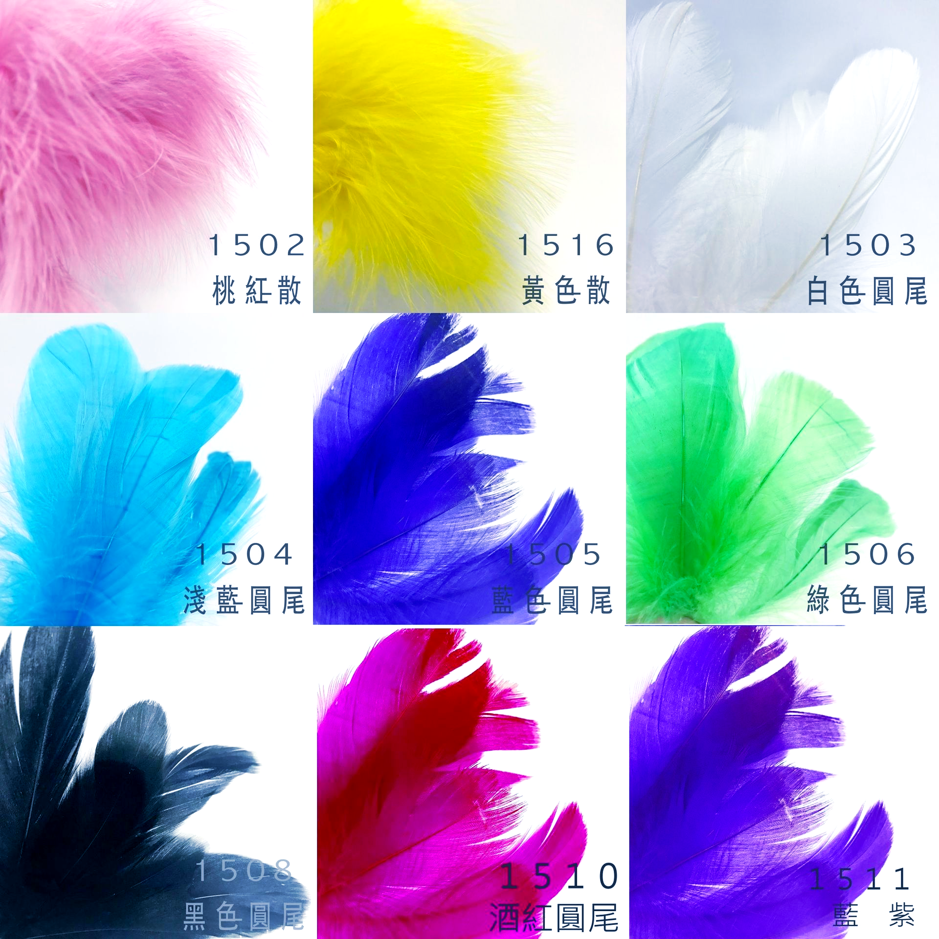 羽毛 #15圓尾羽毛 DIY染色羽毛
