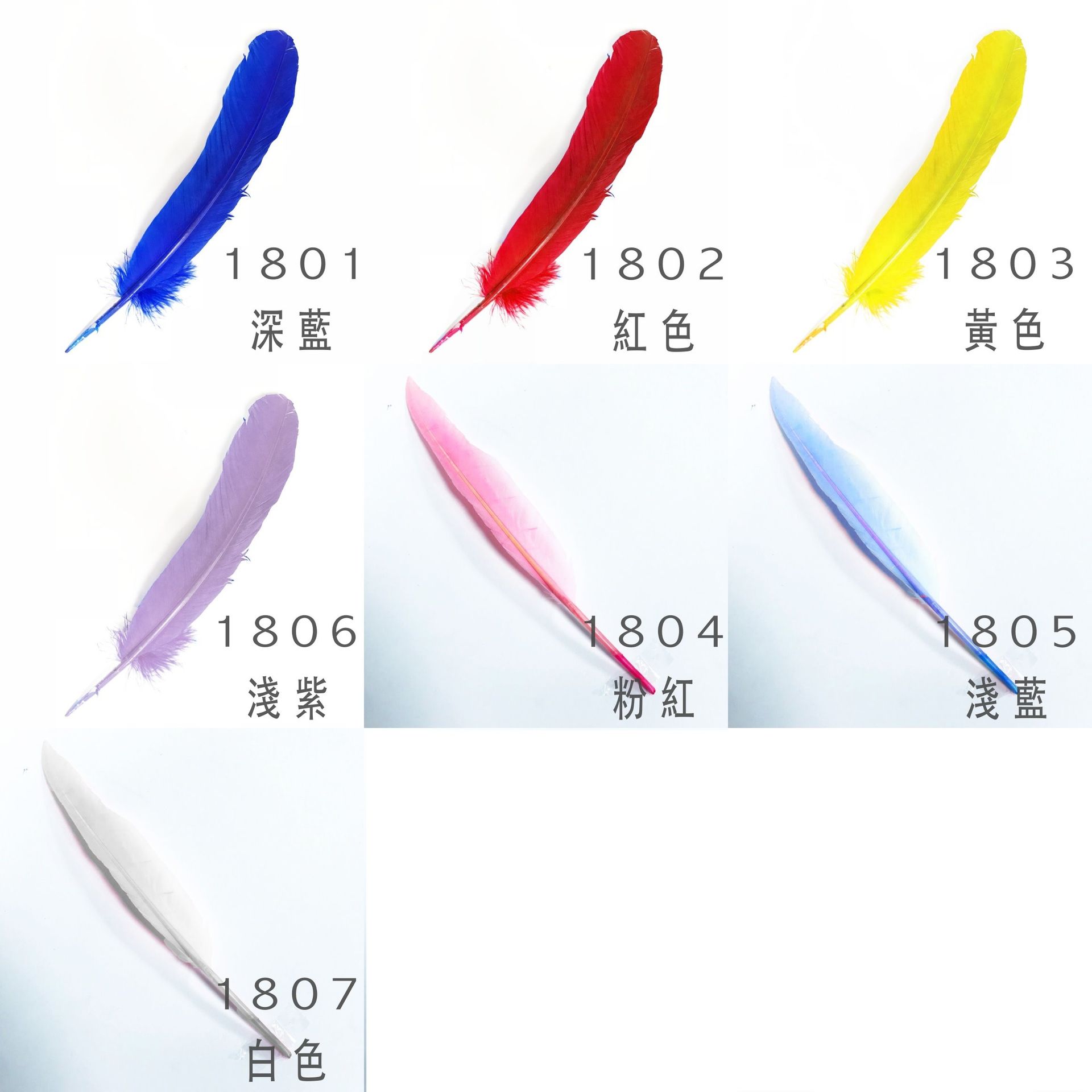 羽毛 #18中鵝翅羽毛 DIY染色羽毛