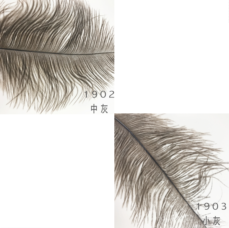 羽毛 #19 鴕鳥羽毛 DIY染色羽毛